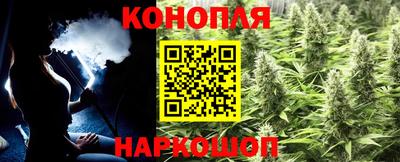 прущие грибы Можга