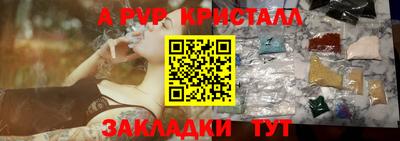 прущие грибы Можга